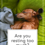 real rest vs. artificial rest