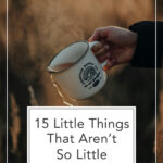 From The Living Well Article The Little Things Aren't So Little (A Faith-Rooted Reframe)